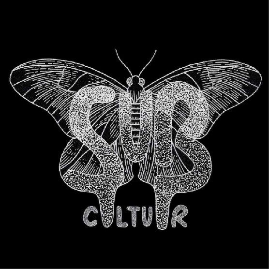 Subcultuur Kingsnight