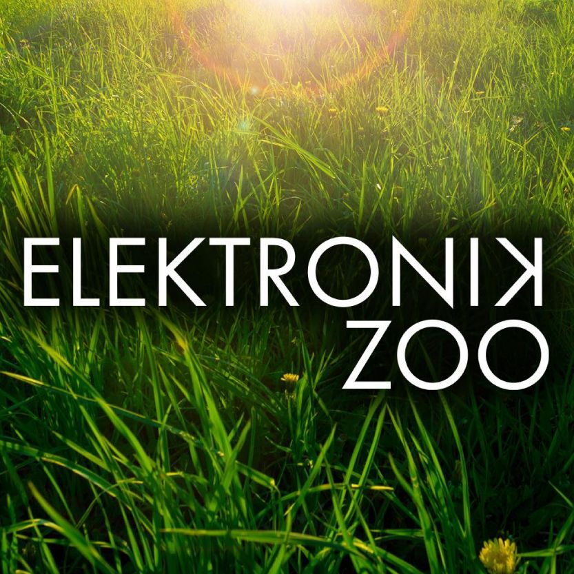Elektronik Zoo Spring weekender
