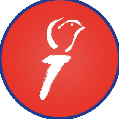 Bevrijdingsfestival Nijmegen