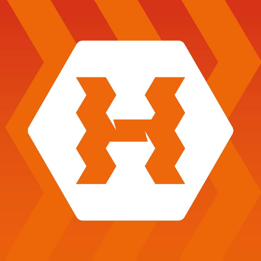 Zomerfeesten de Hoeve